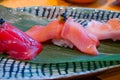 Close up Chutoro Bluefin Tuna Sushi served by hand with pickled wasabi. Royalty Free Stock Photo