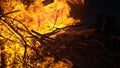 CLOSE UP: Cinematic shot of fiery flames engulfing a big pile of firewood.