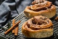 Close up cinnamon rolls plate. High quality and resolution beautiful photo concept Royalty Free Stock Photo