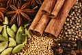 close-up cinnamon sticks, stars anise, cardamom, clove, coriander and mustard seeds on a brown bakcground close-up horizontal Royalty Free Stock Photo