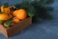 Close-up citrus. Bright ripe tangerines with green leaves in a w Royalty Free Stock Photo