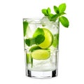 Mojito cocktail, garnished with fresh mint and a slice of lime in a tall glass Royalty Free Stock Photo