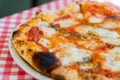 Close-up for classic pizza with mozzarella cheese