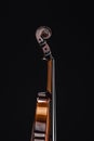 Close up of classic wooden cello isolated on black.