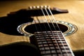 Close-up of classical guitar strings.