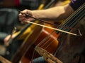Close-up on classical string instruments - Double bass - Side view - Depth of field Royalty Free Stock Photo