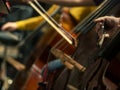 Close-up on classical string instruments - Double bass - Side view - Depth of field Royalty Free Stock Photo
