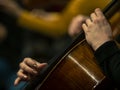 Close-up on classical string instruments - Double bass - Side view - Depth of field Royalty Free Stock Photo