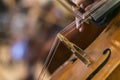 Double basses and cellos - side view - Background - Wallpaper - Double basses Royalty Free Stock Photo
