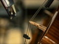 Close-up on classical string instruments - Double bass - Side view - Depth of field Royalty Free Stock Photo