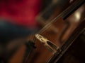 Close-up on classical string instruments - Double bass - Side view - Depth of field Royalty Free Stock Photo