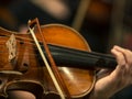 Violin in a large close-up - side view - Background - Symphony orchestra rehearsal - Wallpaper Royalty Free Stock Photo