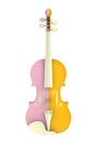 Close up of classical yellow pink violin isolated on white background, String instrument