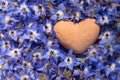 Close up of a clay heart lying on a bed of blue borage flowers Royalty Free Stock Photo