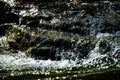 Water rushing through a stream Royalty Free Stock Photo