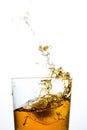 Close-up of a clean glass of whisky splash from the ice Royalty Free Stock Photo