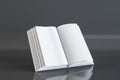 Close up of clean open book on grey background. Document and page concept. 3D Rendering