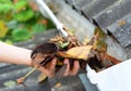 A close-up on cleaning the clogged roof gutters by hand from dry fallen leaves in autumn Royalty Free Stock Photo