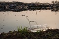 Close up a clear plastic bottle drop on the ground with polluted water and mountain large garbage at the background Royalty Free Stock Photo