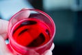 Close up clear red jelly in glass bowl. national sweets. image for background Royalty Free Stock Photo