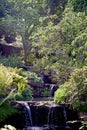 A close up of clear water falling from one level of the garden pond to the next one below. Royalty Free Stock Photo