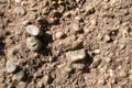 Close up of the cliff stone surface, a natural phenomenon caused by the erosion of the sediment that flows along the watercourse,