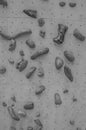 Close Up Of A Climbing Wall In Black And White