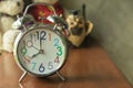 Close up clock on wooden of brown and teddy bear Royalty Free Stock Photo