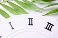 Close up clockwise. The face of the white wall clock. Royalty Free Stock Photo