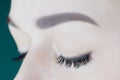 Close-up of closed eyes with artificial eyelashes, black eyeliner, ideal skin, eyebrows of unrecognizable young woman. Royalty Free Stock Photo