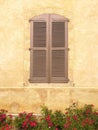 close-up on a closed light brown shutter, faded beige yellow wall and alley of small red rosebushes in bloom, aga Royalty Free Stock Photo