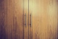 Close up of a closed wooden door brown design background texture vintage interior Royalty Free Stock Photo