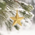 Close-up closeup of gold glitter star Christmas ornament hanging from branch of snowy pine tree. Beautiful, simple, natural