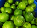 Close-up of a cluster of fresh limey lemons on a display Royalty Free Stock Photo