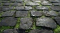 Close-up of a Cobblestone Path with Green Moss Royalty Free Stock Photo