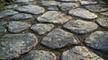 Close-up of a Cobblestone Path with Moss and Gravel Royalty Free Stock Photo