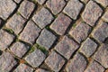 Close up of cobblestone roads and paths found in germany