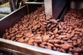 close-up of cocoa beans inside the roasting machine Royalty Free Stock Photo