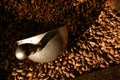 close-up of cocoa seeds with deliverer spoon