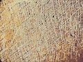 Close up of a coconut coir structure, shot on a coconut fiber tree, brown natural background. for consumption and environmental Royalty Free Stock Photo