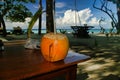 Closeup of coconut drink on Maafushi Island Maldives Royalty Free Stock Photo