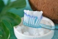 Close-up of coconut oil in a bowl with a toothbrush - Homemade whitening toothpaste