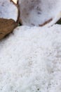 Close up of a coconut and a pile of shredded coconut