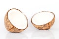 Close up of coconut on white background Royalty Free Stock Photo