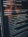 Close-up of coding on computer screen with developer eyes Royalty Free Stock Photo