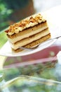 Close up coffee cake and nut Royalty Free Stock Photo