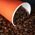 Close up of Coffee grains scattered from disposable paper cups. Brown roasted high quality Arabica coffee beans on table