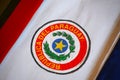 Close up of the coffin covered with Paraguayan flag in National Royalty Free Stock Photo