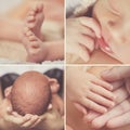 Close-up collage,a newborn baby,body parts Royalty Free Stock Photo