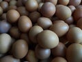 Close-up of a collection of chicken eggs